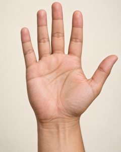 ตัวอย่างรูปฝ่ามือ